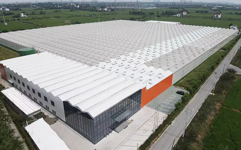 Các tính năng và cách sử dụng của nhà kính thủy tinh là gì?