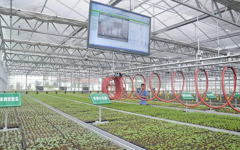 Làm thế nào tôi có thể sử dụng hệ thống tưới nhà kính Mobile Sprinkler?