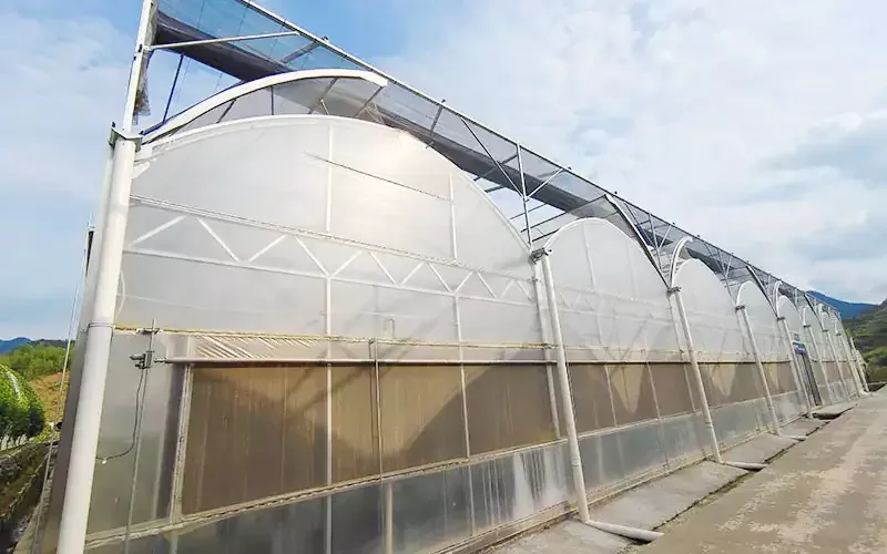 Làm thế nào tôi có thể sử dụng hệ thống màn hình bên ngoài nhà kính?