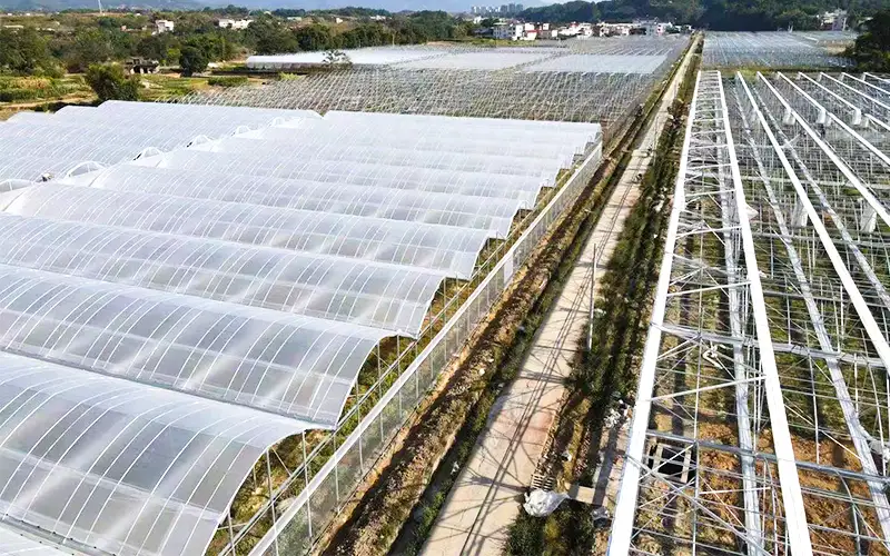 Khám phá các sườn núi - nhà kính nhựa thông gió để tăng sản xuất và giải quyết vấn đề nhiệt độ cao