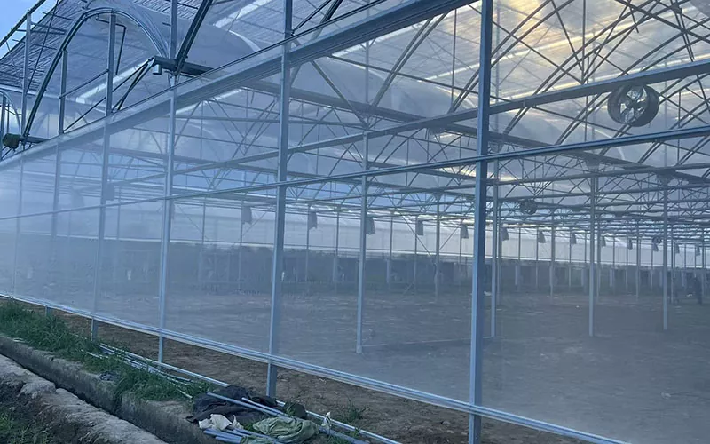 Mạng lưới côn trùng nhà kính dẫn đầu một xu hướng mới trong kiểm soát dịch hại